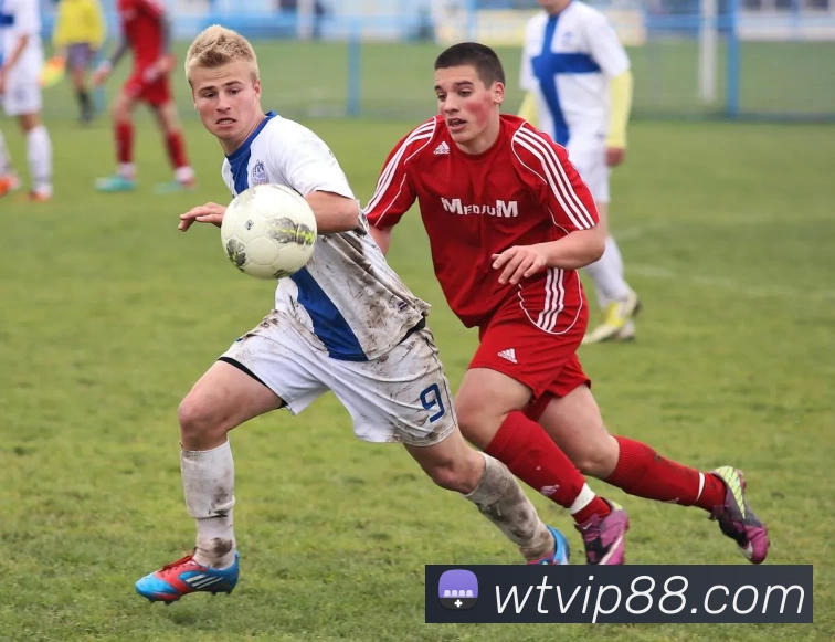 万泰娱乐官网平台生态图