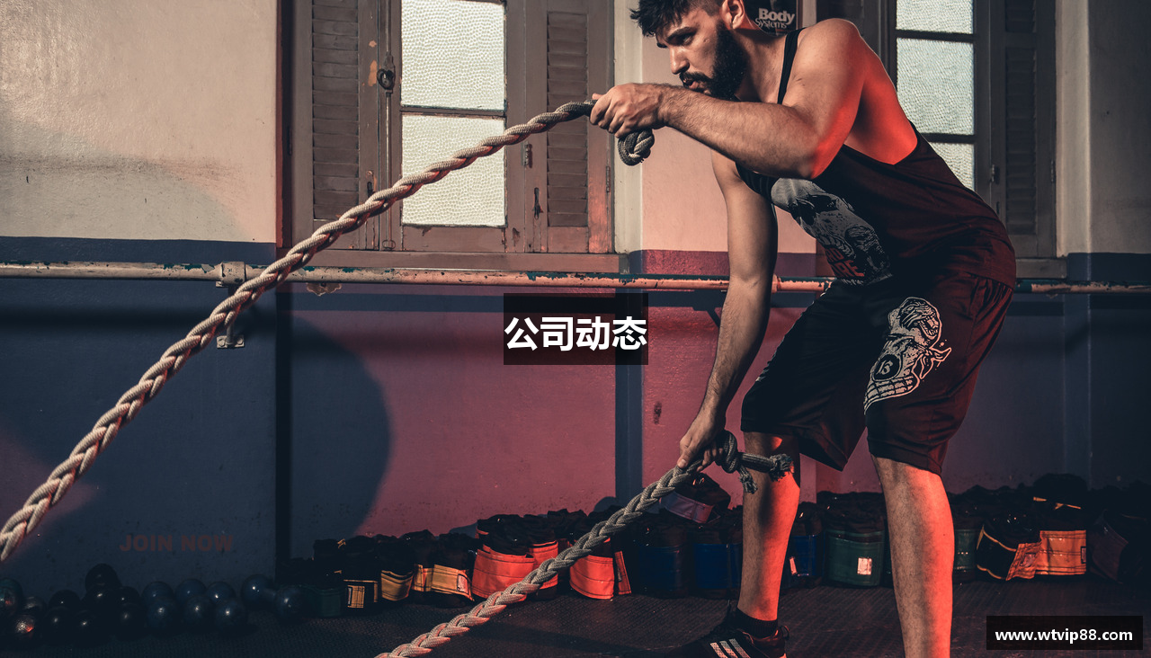 公司动态